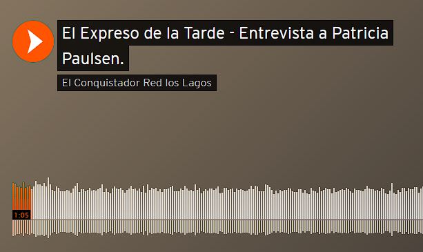 Imagen entrevista a Patricia Paulsen